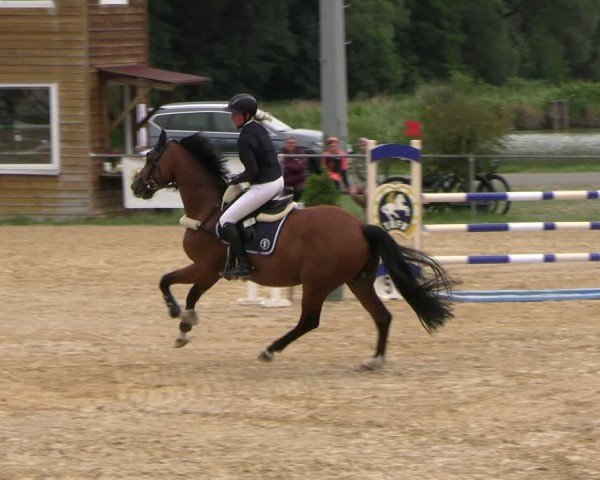 Reitturnier Bad Liebenstein/Sorga 2025