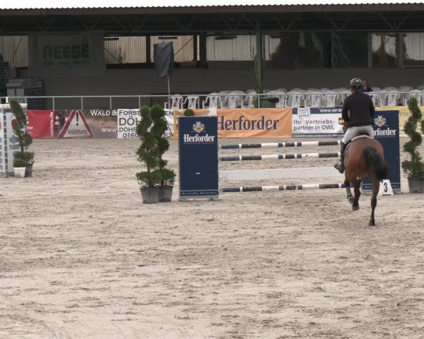 Reitturnier Vlotho-Exter 2025