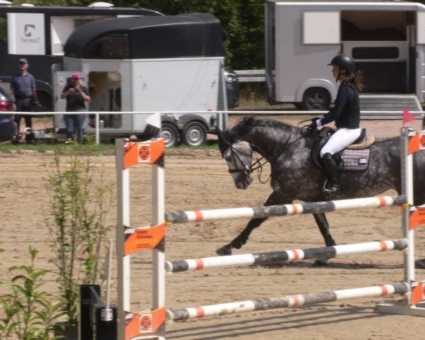 Reitturnier Heiligenwald 2025