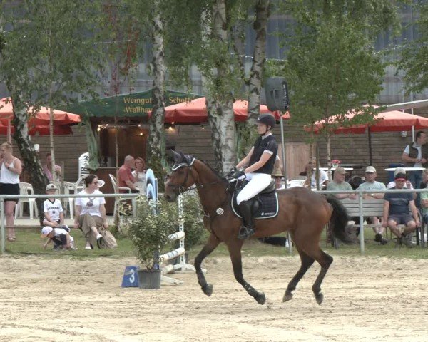 Reitturnier Herbern 2025