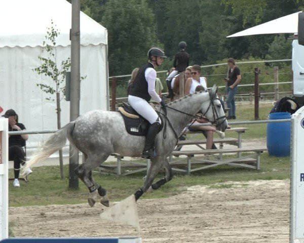 Reitturnier Herbern 2025