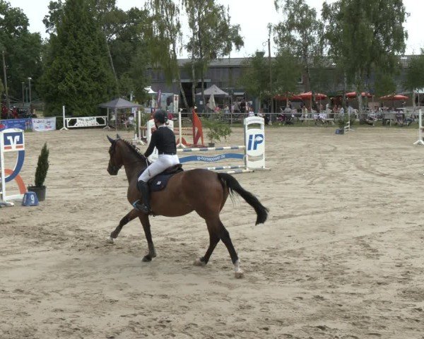 Reitturnier Herbern 2025