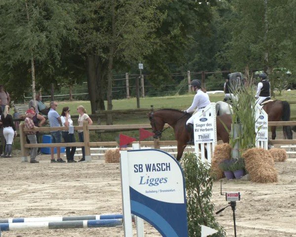 Reitturnier Herbern 2025