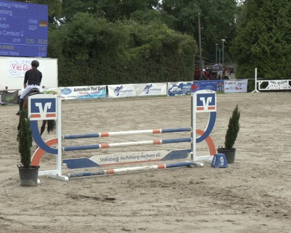 Reitturnier Herbern 2025