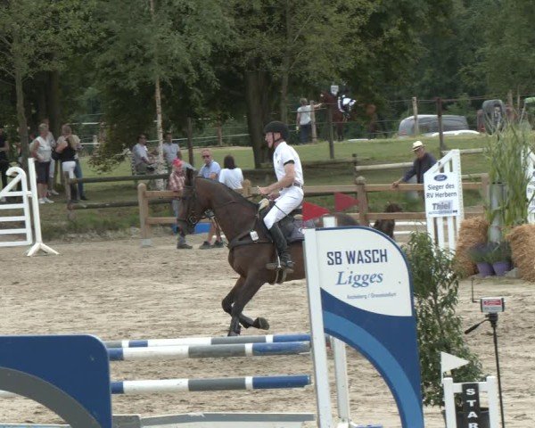 Reitturnier Herbern 2025
