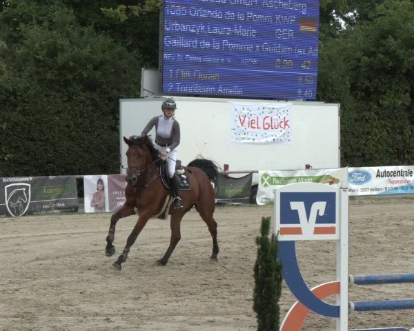 Reitturnier Herbern 2025