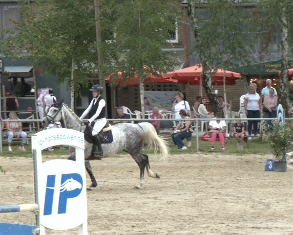 Reitturnier Herbern 2025
