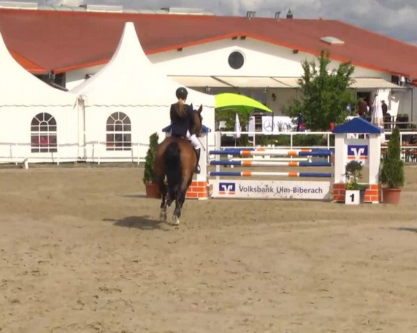 Großes Langenauer Reitturnier 2014
