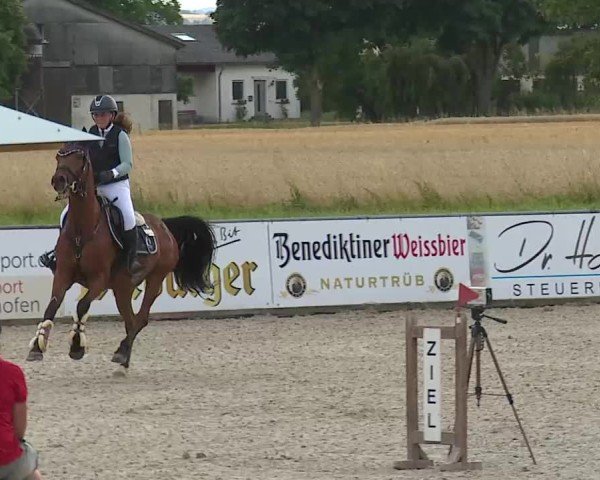 Reitturnier Rot am See- Musdorf 2025