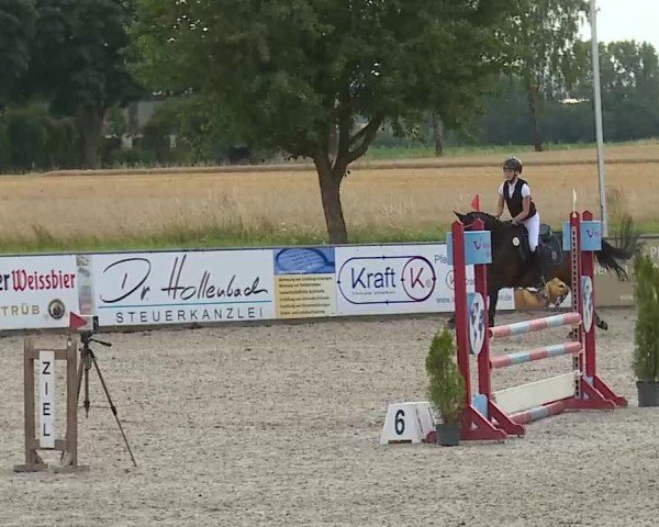 Reitturnier Rot am See- Musdorf 2025