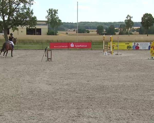Reitturnier Rot am See- Musdorf 2025