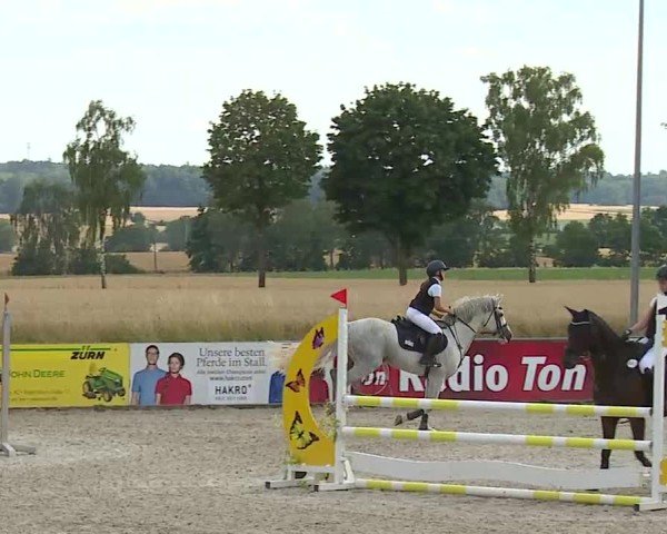 Reitturnier Rot am See- Musdorf 2025