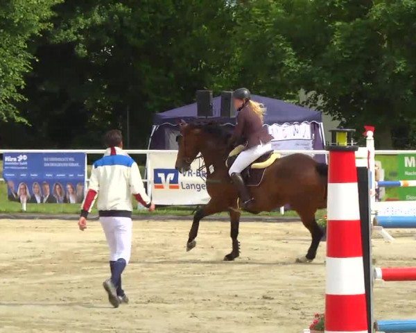 Großes Langenauer Reitturnier 2014