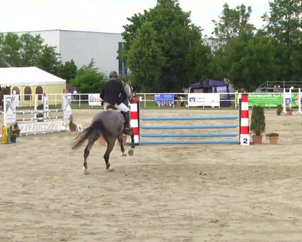 Großes Langenauer Reitturnier 2014