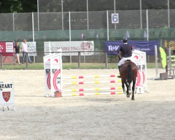 Reitturnier Würzburg/Ufr. 2025