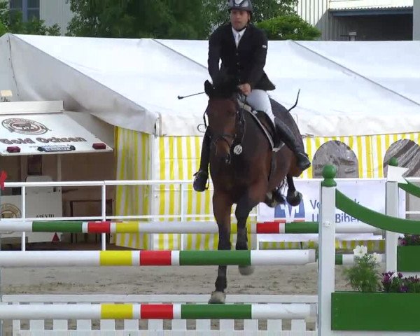 Großes Langenauer Reitturnier 2014