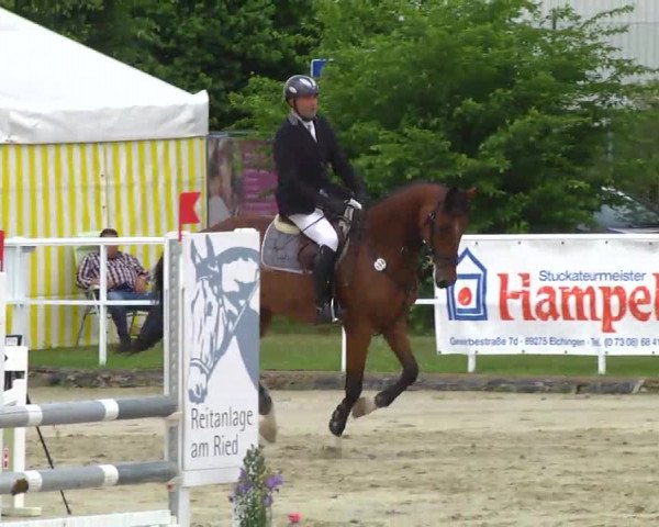 Großes Langenauer Reitturnier 2014