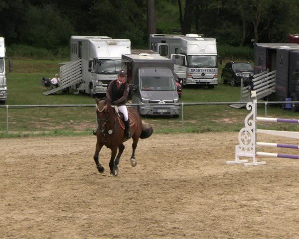 Reitturnier Bad Liebenstein/Sorga 2025
