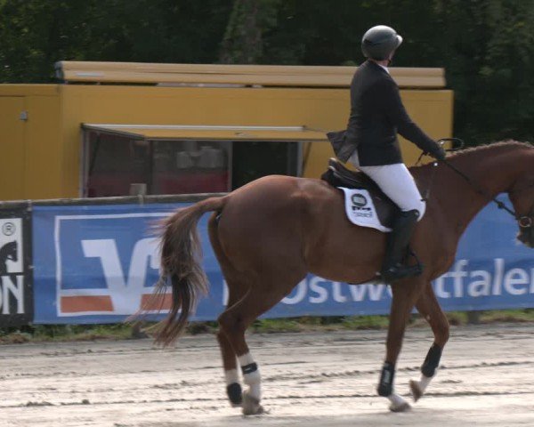 Reitturnier Vlotho-Exter 2025