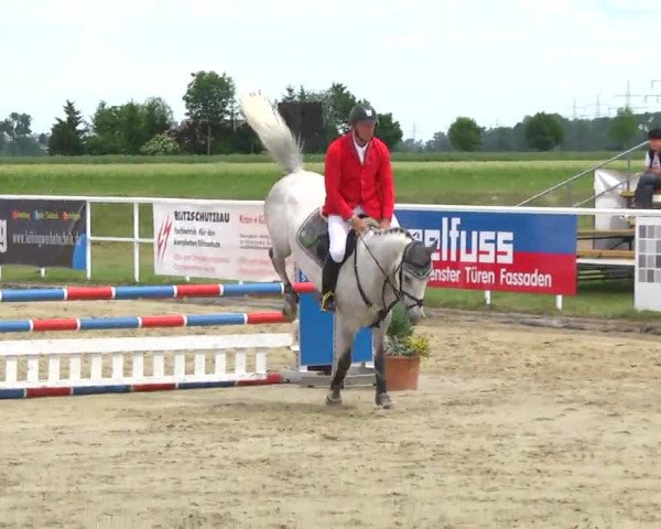 Großes Langenauer Reitturnier 2014