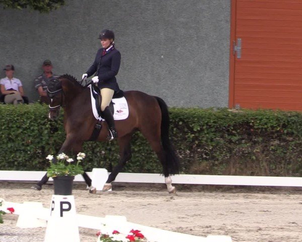 Reitturnier Neustadt/Dosse 2025