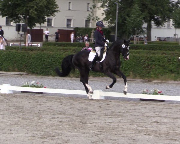 Reitturnier Neustadt/Dosse 2025