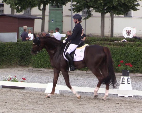 Reitturnier Neustadt/Dosse 2025