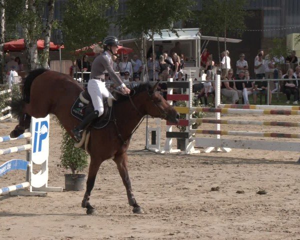 Reitturnier Herbern 2025