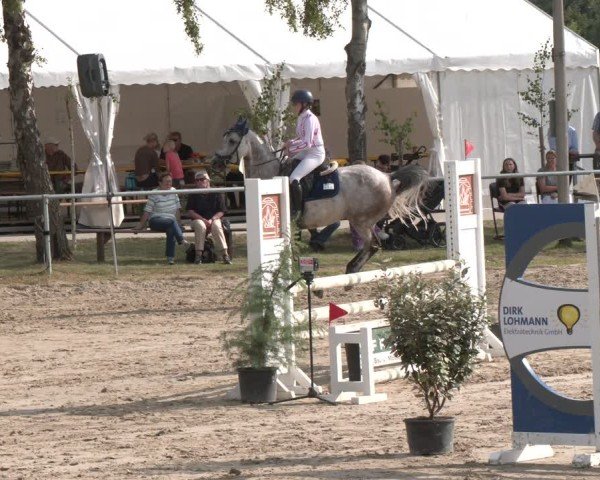 Reitturnier Herbern 2025