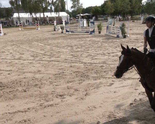 Reitturnier Herbern 2025