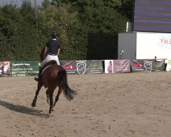 Reitturnier Herbern 2025