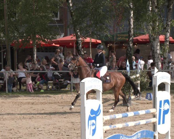 Reitturnier Herbern 2025
