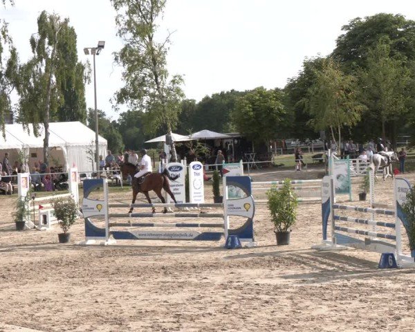 Reitturnier Herbern 2025