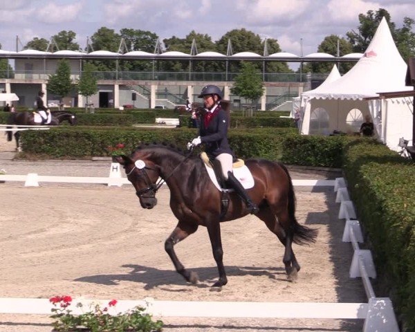 Reitturnier Neustadt/Dosse 2025