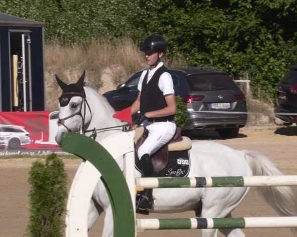 Reitturnier Heiligenwald 2025