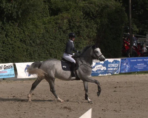 Reitturnier Herbern 2025