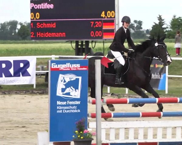 Großes Langenauer Reitturnier 2014