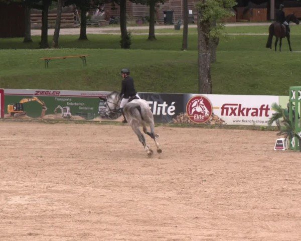 Reitturnier Stadl-Paura 2025
