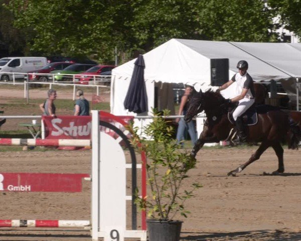 Reitturnier Heiligenwald 2025
