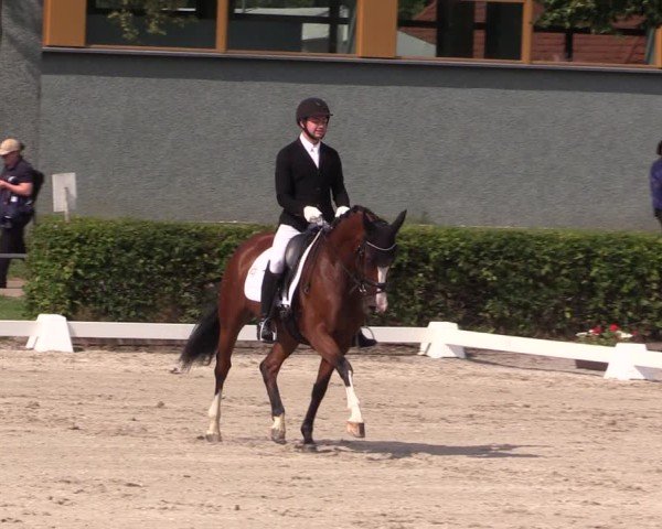 Reitturnier Neustadt/Dosse 2025