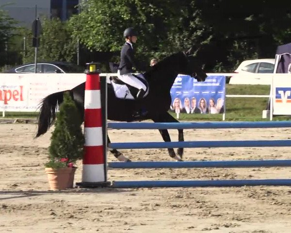 Großes Langenauer Reitturnier 2014