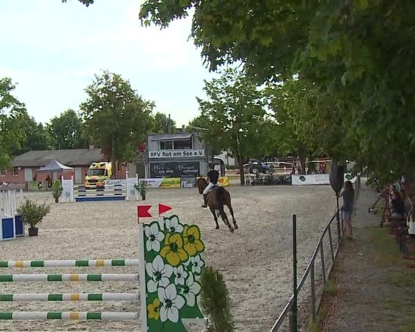 Reitturnier Rot am See- Musdorf 2025