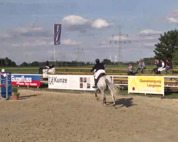 Großes Langenauer Reitturnier 2014