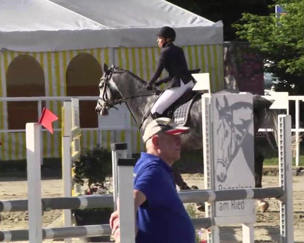 Großes Langenauer Reitturnier 2014