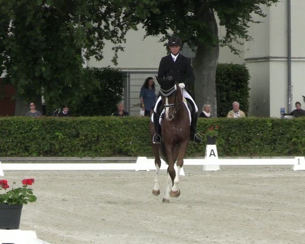 Reitturnier Neustadt/Dosse 2025