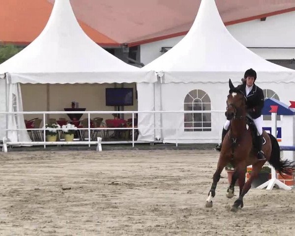 Großes Langenauer Reitturnier 2014