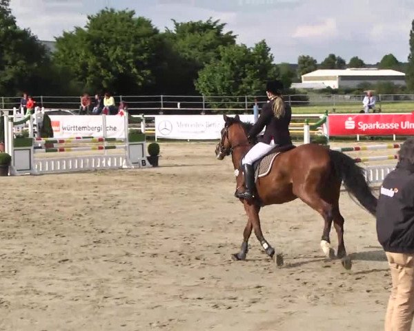 Großes Langenauer Reitturnier 2014