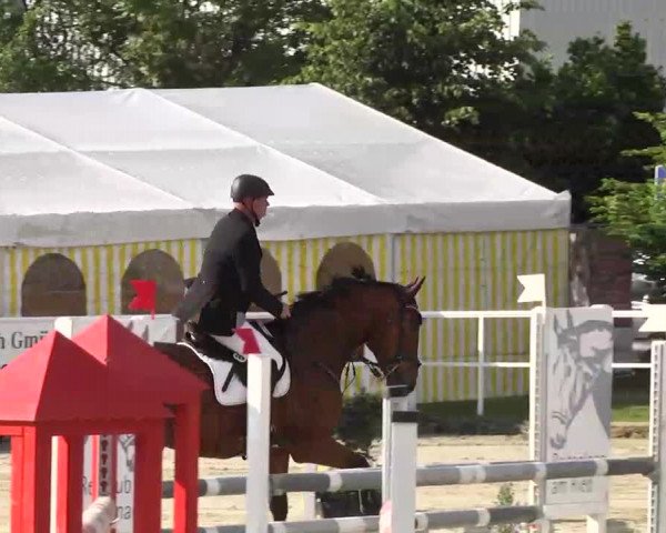 Großes Langenauer Reitturnier 2014