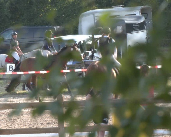 Reitturnier Herbern 2025