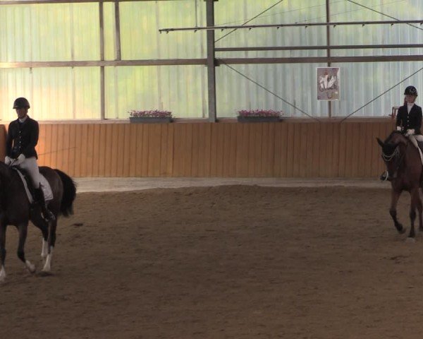 Reitturnier Herbern 2025